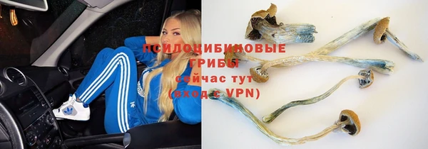 марихуана Кущёвская
