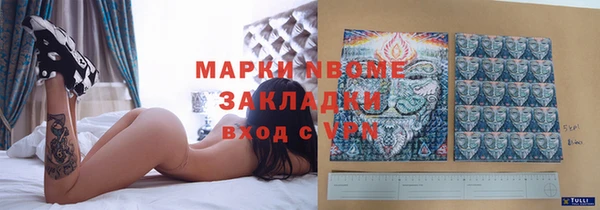 гидра Иноземцево