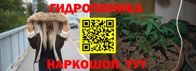 крисы Волжск