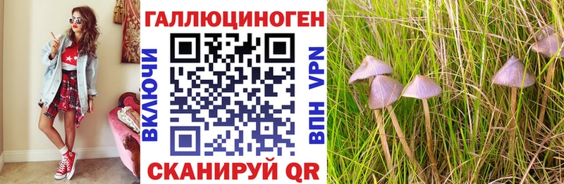 Псилоцибиновые грибы Cubensis  продажа наркотиков  Донецк 